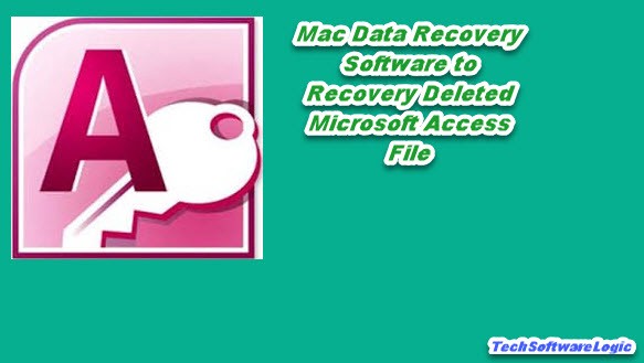 microsoft access 2010 for mac